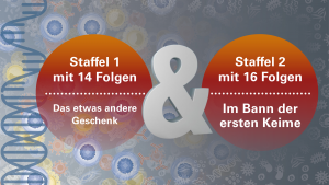 Staffel 1 & 2 Kombi-Angebot