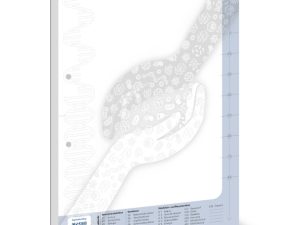 Der ImmunSymbiose® Block - Schulungsunterlagen MaRe