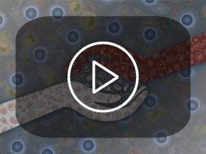 The videos for the ImmunSymbiosis© training