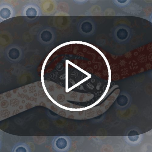 Die Videos zur ImmunSymbiose® Ausbildung
