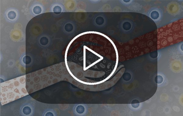 The videos for the ImmunSymbiosis© training