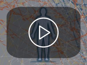 Die Videos zur MatrixTechnik© Ausbildung