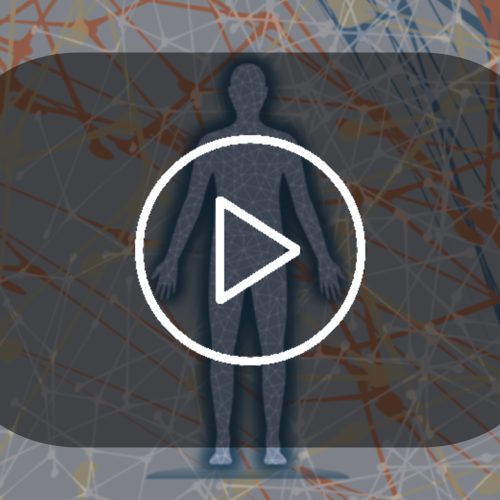 Die Videos zur MatrixTechnik© Ausbildung